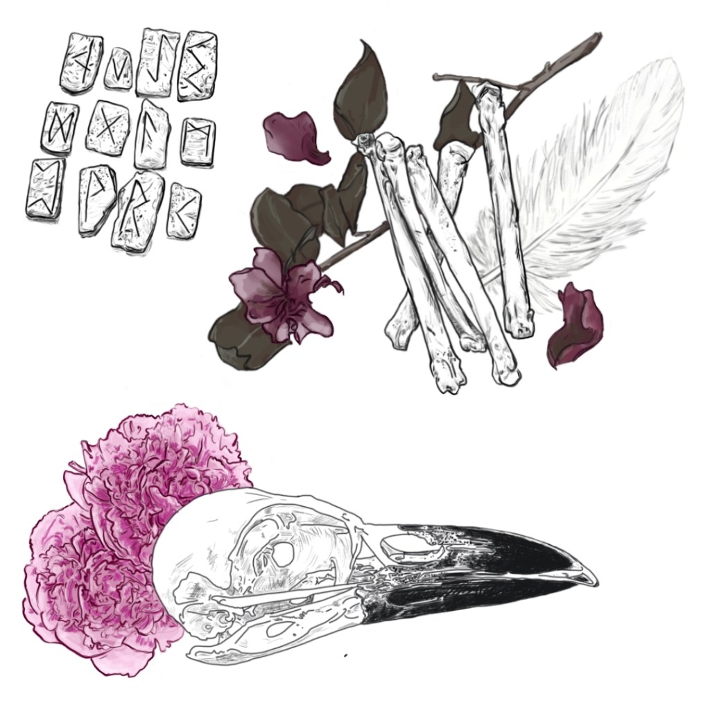 An illustration featuring a bird skull, peony flowers, fragments of bones, a feather, and purple petals, combining natural elements with a gothic aesthetic.