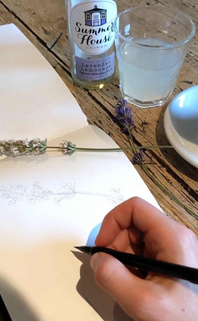 A hand holding a pen, drawing a floral illustration on a sheet of paper, with a lavender lemonade drink and a sprig of lavender in the background.