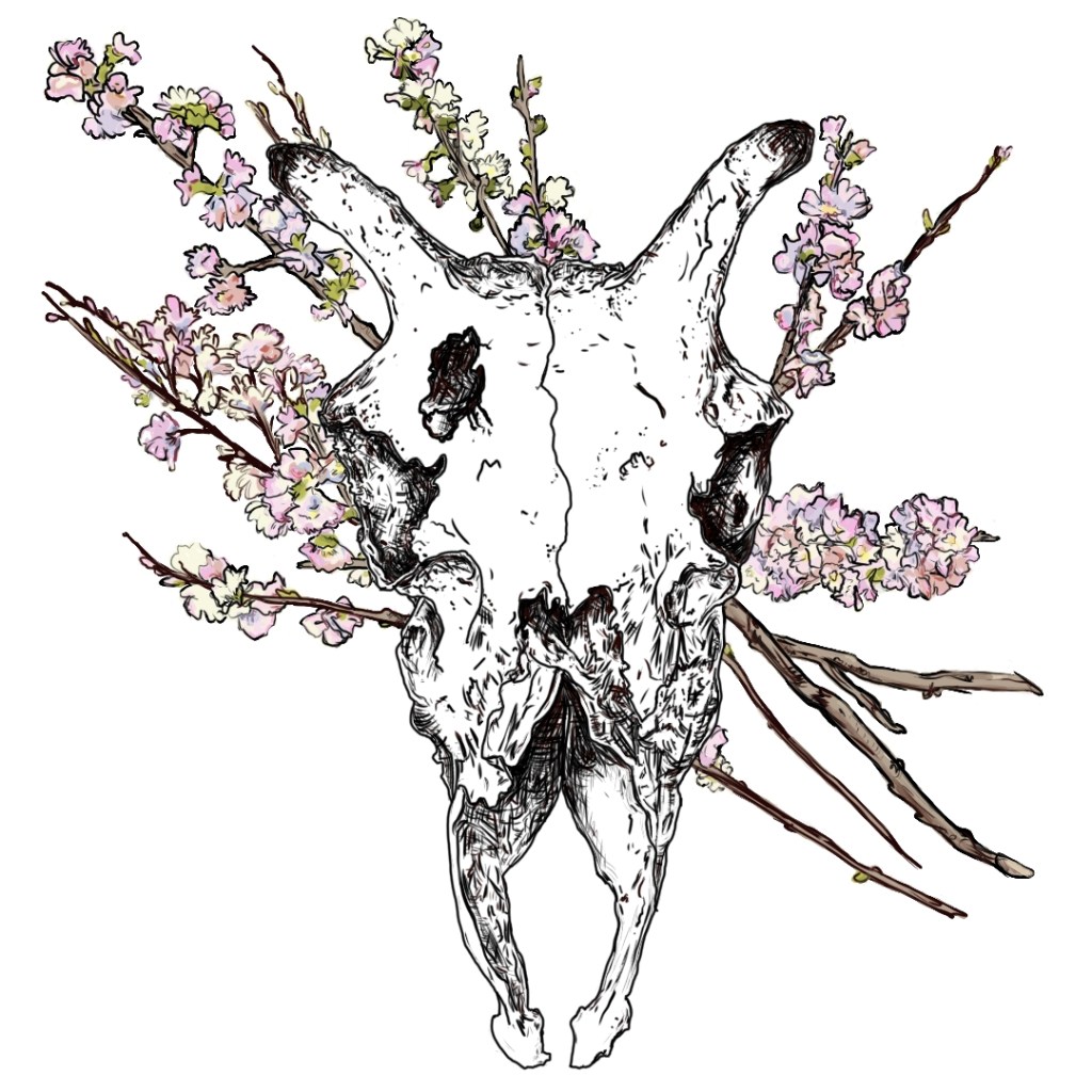 An illustration of an animal skull surrounded by delicate pink blossom on branches.